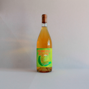 Preconcieved Notions